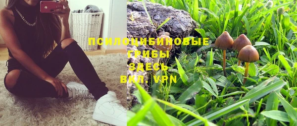 каннабис Михайловка