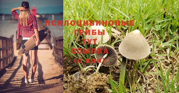 герыч Михайлов