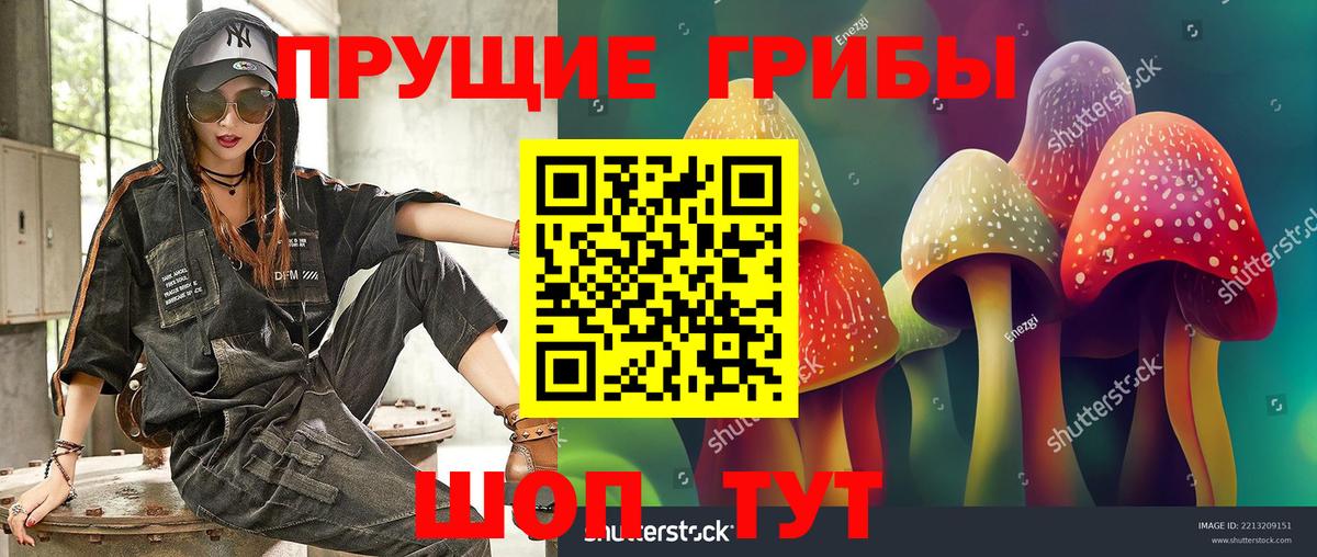 Карачаевск  купить  цена  Вход с VPN  Галлюциногенные грибы ЛСД 